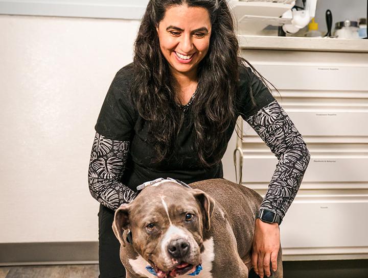 Preventive Care for Dogs
