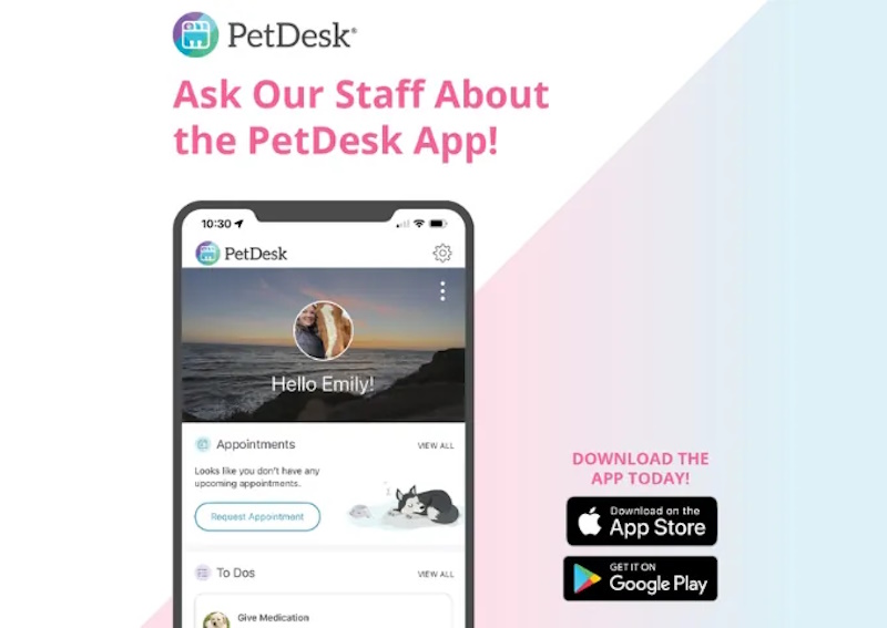 Carousel Slide 9: Download our app to view your pet portal