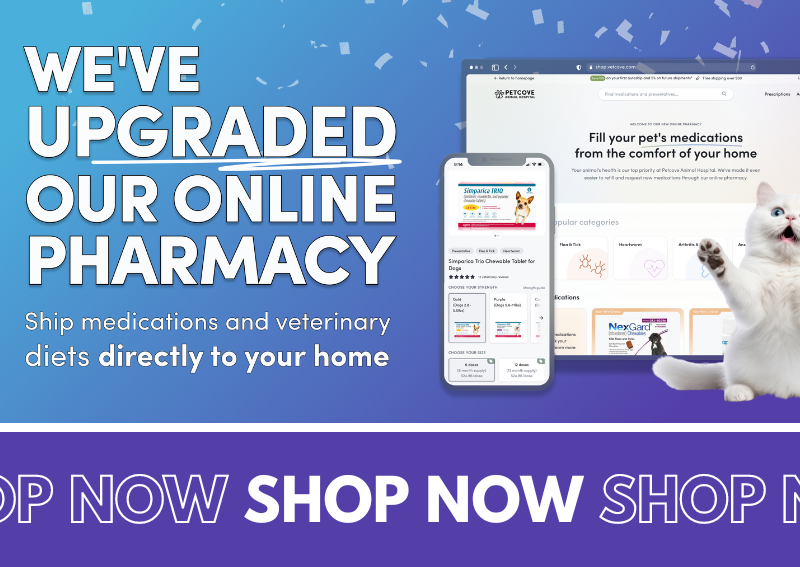 Carousel Slide 12: Shop Our Online Pharmacy!